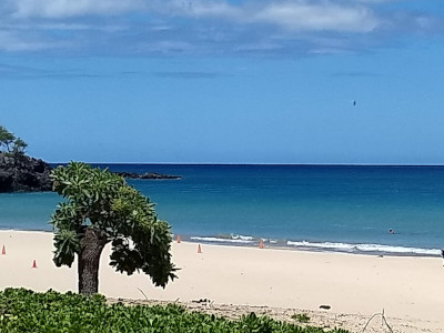 Big Island Experience